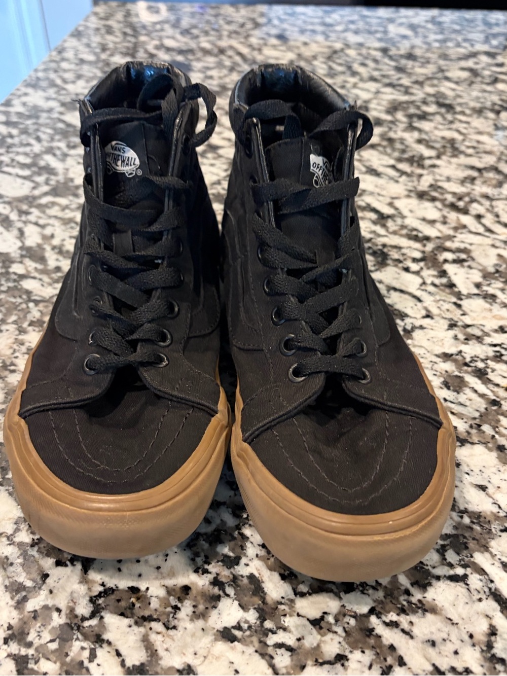 Vans Black High-Top Skate Sneakers
